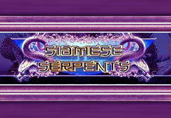 Siamese Serpents